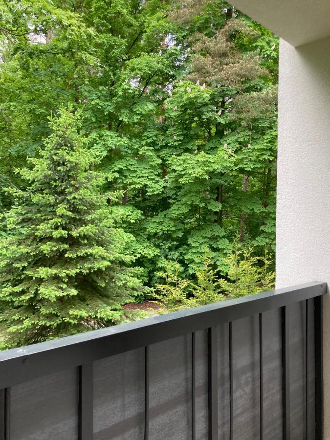 Apartament 221 Przy Niedzwiadku 波兰尼卡-兹德鲁伊 外观 照片