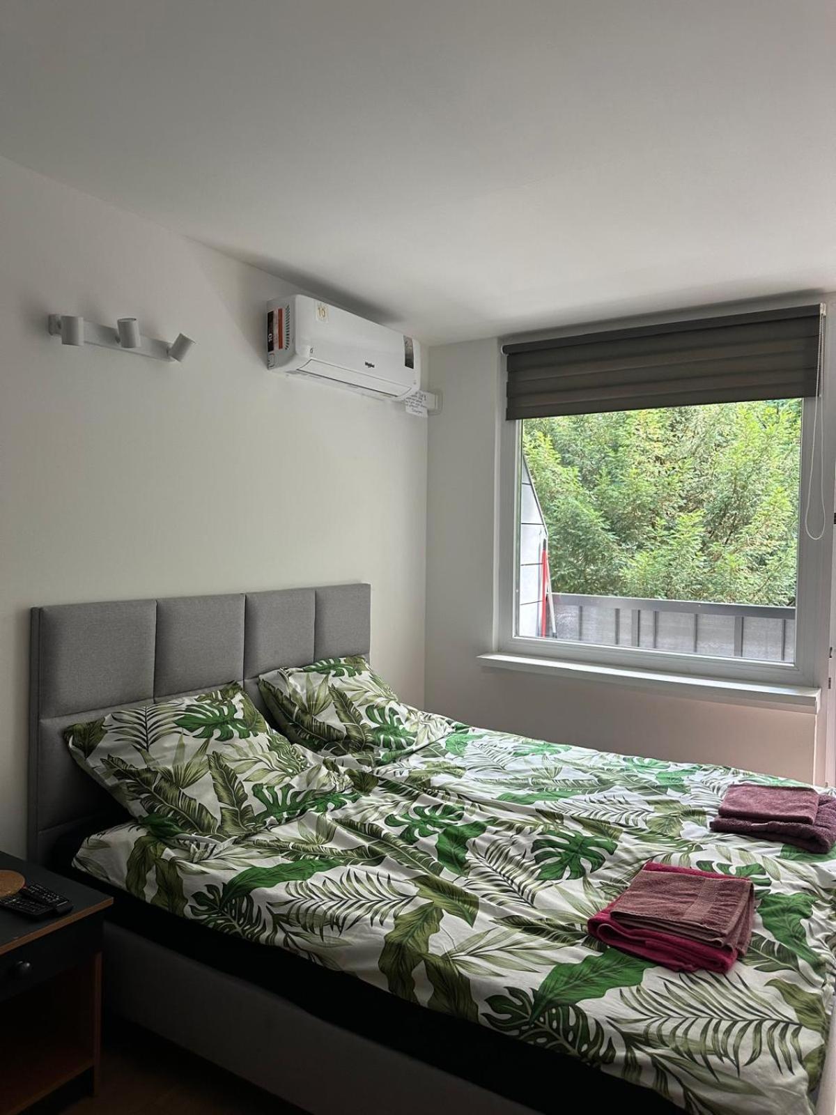Apartament 221 Przy Niedzwiadku 波兰尼卡-兹德鲁伊 外观 照片